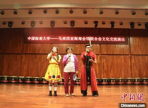 马来西亚海南会馆联合会文艺团来琼开展数字文化创意软件交流